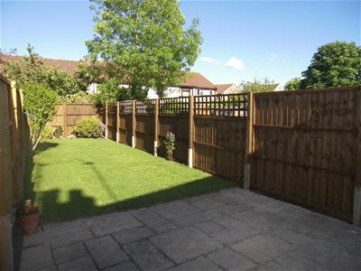 Picture 13
